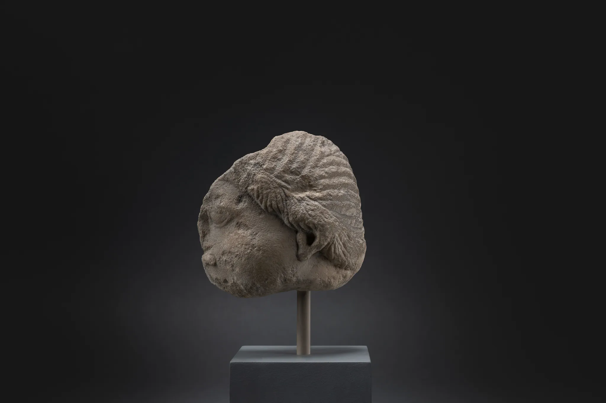 ΑΙΑ.Β04.18 Τμήμα κεφαλής νέου, α.κ. 15498